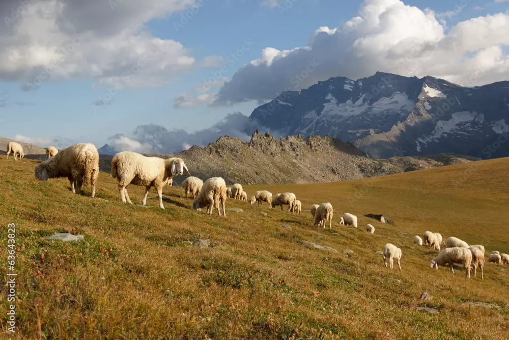 Fino alle montagne